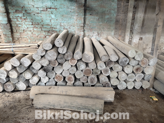 সেগুন গাছ